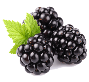 Moras