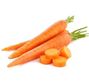 Zanahoria